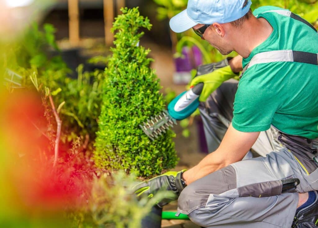 Header Image Commercial Landscaping Tips Every Organization Should Know This Spring