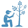 Pruning Trees, Shrubs, and Perennials